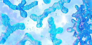 ¿Es posible recuperar la microbiota de forma natural?