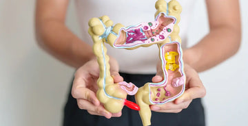 Las enzimas digestivas: qué son y qué hacen.