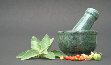 ¿Qué beneficios tiene tomar ashwagandha? Descubre todo lo que puede hacer por tu cuerpo y mente