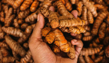 beneficios y propiedades curcuma