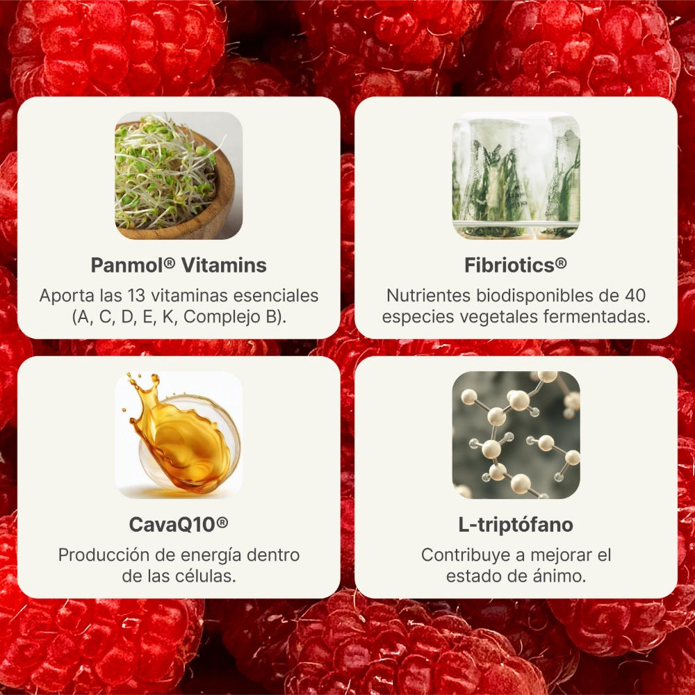 Ingredientes Well Blend Frutos Rojos