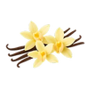 Vainilla