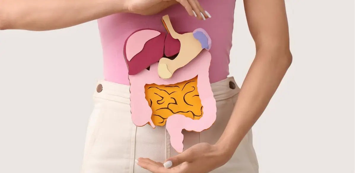 cuanto se tarda en hacer la digestion