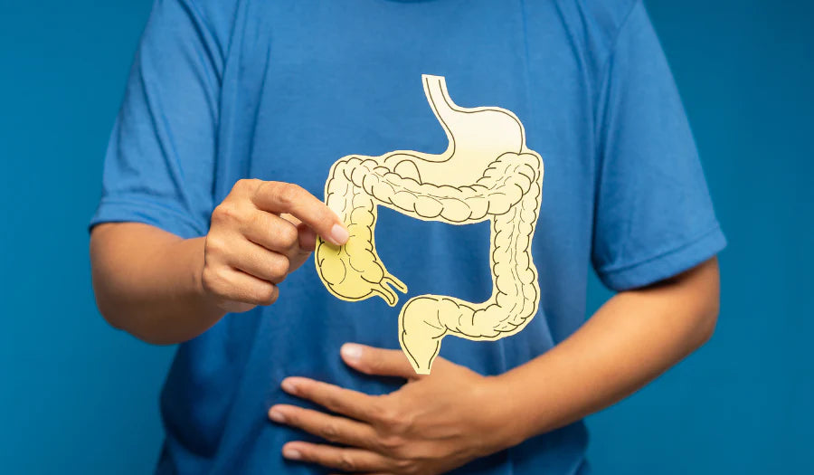 Eje intestino-cerebro y el papel de la microbiota
