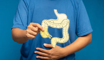 Eje intestino-cerebro y el papel de la microbiota