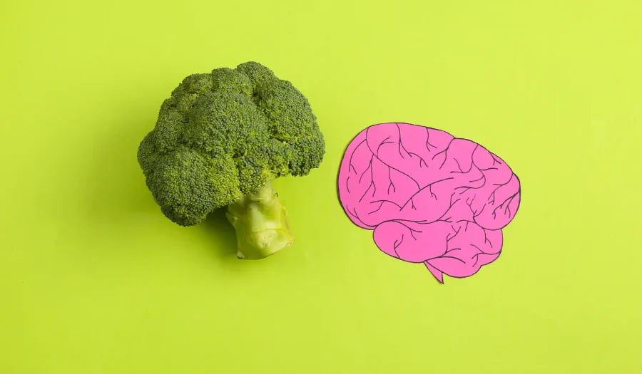 ¿Es el estómago nuestro segundo cerebro?