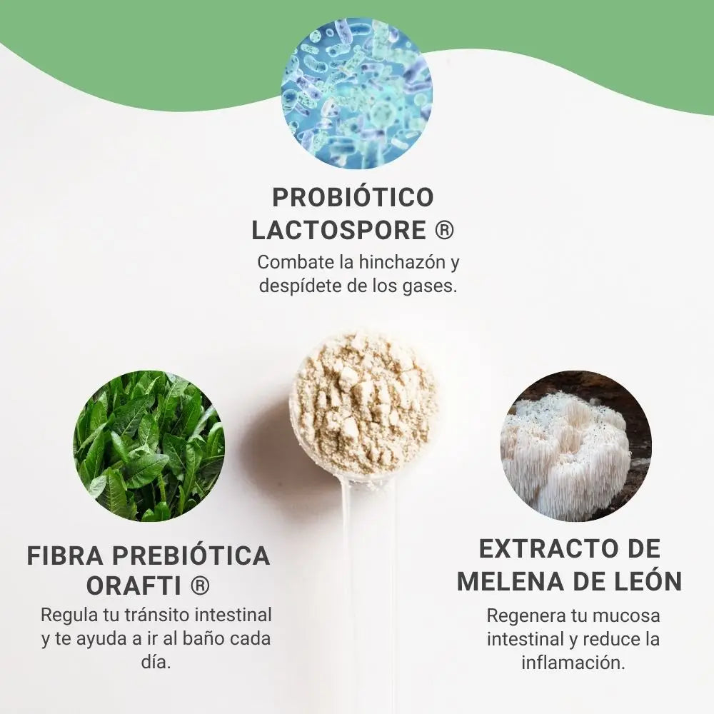 microbiotic creamer y salud digestiva