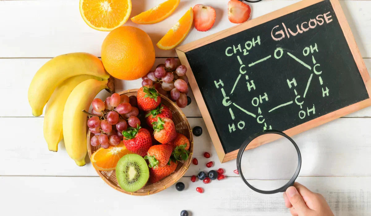 ¿Qué es la glucosa y cuál es su función?