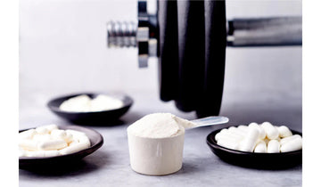 Tipos de Creatina: ¿Cuál es el Mejor Tipo de Creatina para Ti?