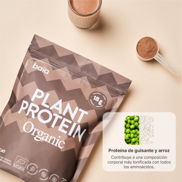 Ingredientes Plant Protein cacao
