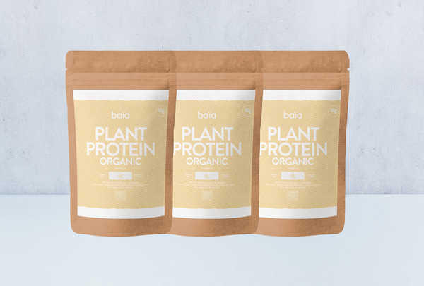 PACK 3 PLANT PROTEIN VAINILLA