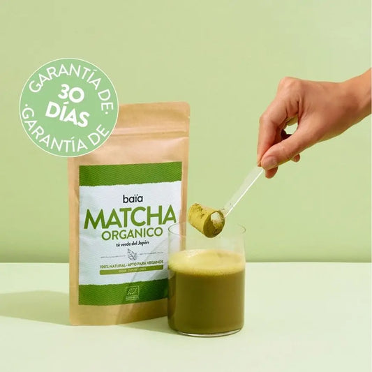 MATCHA ORGÁNICO