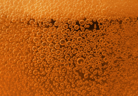 Fermentamos