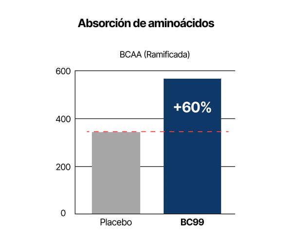 La mejor digestión por el aumento en producción de enzimas digestivas provoca un aumento significativo de absorción de aminoácidos frente a placebo.