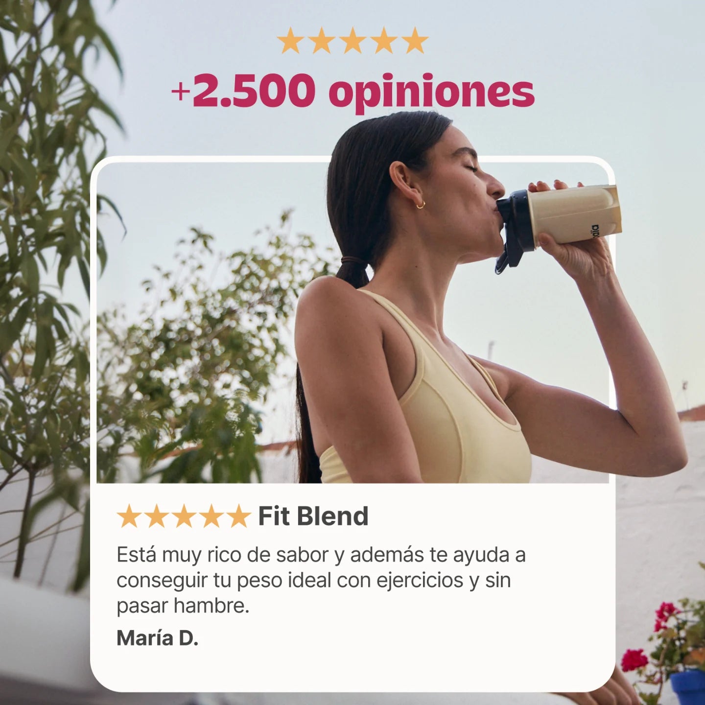 FIT BLEND® FRESA