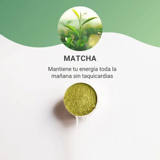 MATCHA ORGÁNICO CEREMONIAL