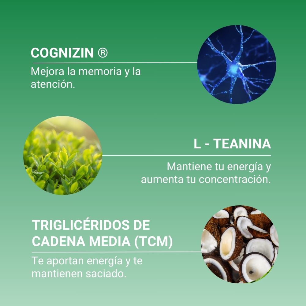 Ingredientes del focus creamer