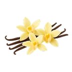 Vainilla